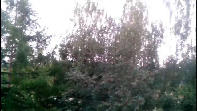 Гроза в городе Ермолино.15.07.18 года смотреть онлайн