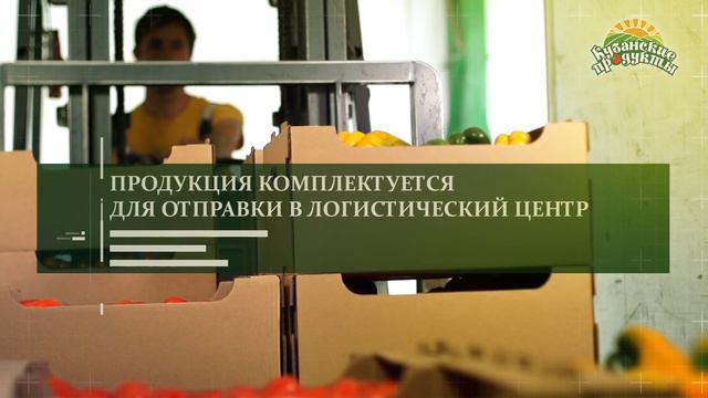 Предложение по созданию сельскохозяйственных логистических центров(ОРЦ). ГУП КК "Кубанские продукты смотреть онлайн