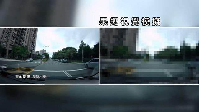 Bug-Inspired Tech Improves Drone Capabilities | TaiwanPlus News смотреть онлайн