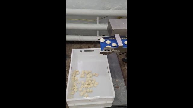 АП210 пельменный автомат смотреть онлайн