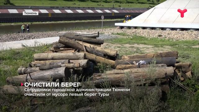 Очистили берег смотреть онлайн