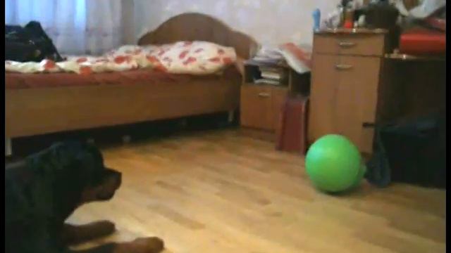 Крутик и Jolly ball смотреть онлайн