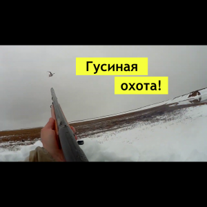 Гусиная охота на Таймыре 2020.mp4