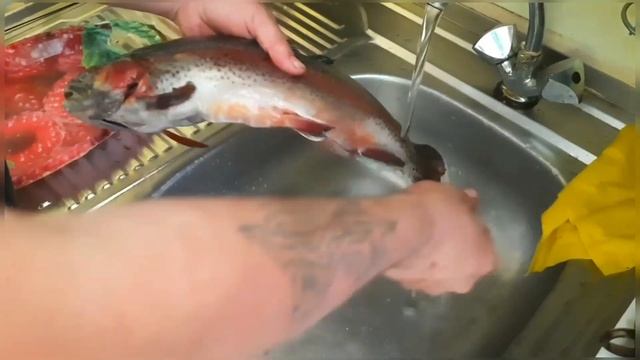 рассказываю как мы коптим рыбу "Форель из Светоффора" , горячего копчения смотреть онлайн