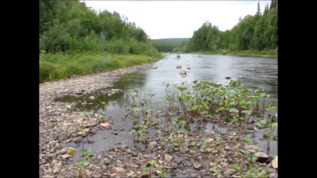 Вижай. Моторыбалка.wmv смотреть онлайн