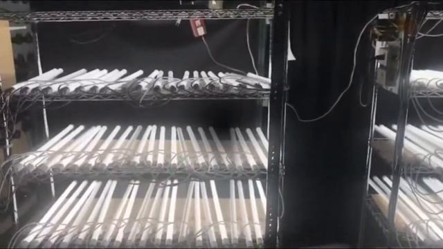 LED Taiwan factory / LED Manufacturing / LED台灣工廠 / LED製造 смотреть онлайн