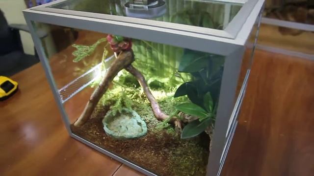 ПОДАРОК ДЛЯ СКОРПИОНА - СКОРПИОН смотреть онлайн