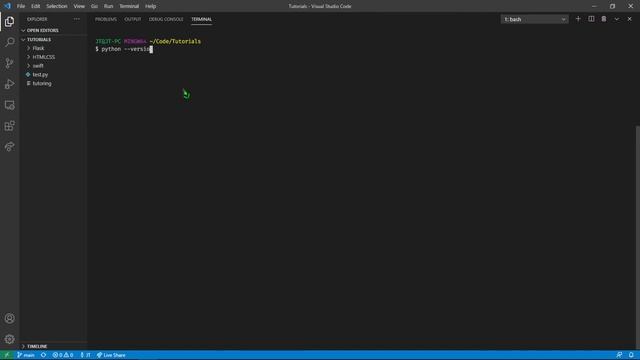 How to Install Python and Run it from the Terminal смотреть онлайн