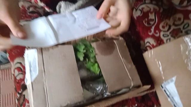 Перша посилка від Флоріума і... остання.?#повнерозчарування смотреть онлайн