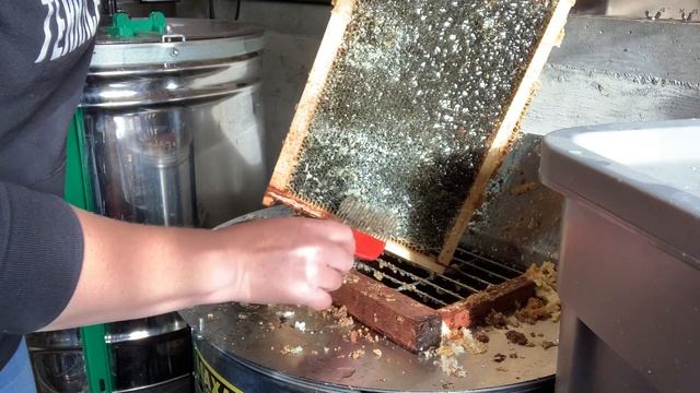 Small-Scale Honey Extraction смотреть онлайн