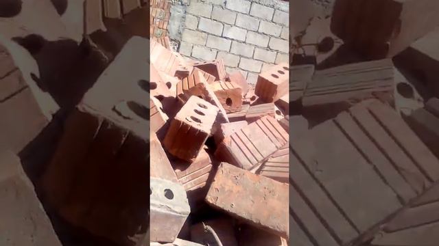 VLOG:идем сорвать сирень !! смотреть онлайн