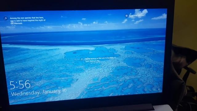 Laptop stuck at Login Screen or Login Wallpaper Fix смотреть онлайн