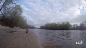 Ловля жереха на КУКРИ.