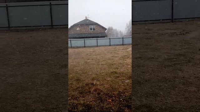 завтра, Пасха господня, 23 апреля, у нас снег идёт!!!! смотреть онлайн