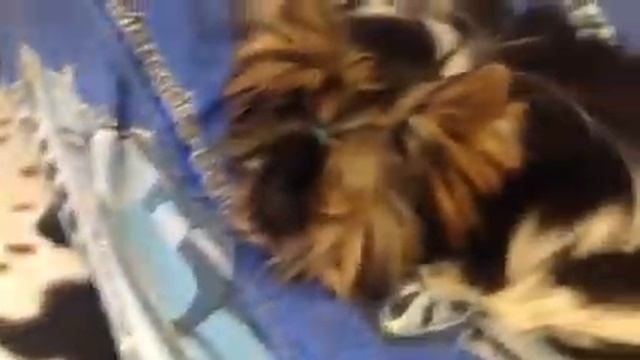 НАУШНИКИ ЗА 50$ | ОБЗОР смотреть онлайн