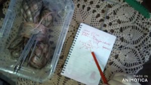 Йоркширский терьер. Вязание .Свитерок для маленькой собачки.