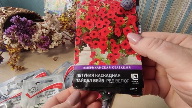 Выбор сорта петунии - залог номер 1 обильного и продолжительного цветения весь сезон ??? смотреть онлайн