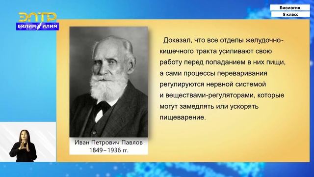 8-класс | Биология | Пищеварение