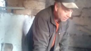 Кабан с одним яйцом