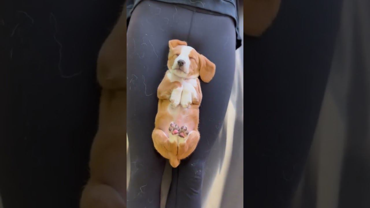 Наконец-то я спортом занялся ))) смотреть онлайн