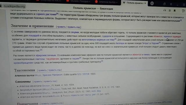 Почему именно масло полыни таврической действует губительно на клеща варроа и других вредителей? смотреть онлайн