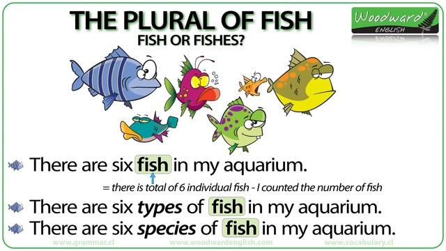 The Plural Of FISH - Fish Or Fishes?