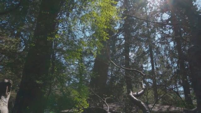 Моя свекровь алкоголичка. Однажды ей стало плохо. Но ни кто не вызвал скорую смотреть онлайн