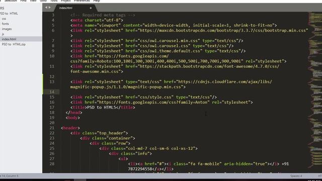 Create Magnific Popup Light Box Gallery ||  How To Create Custom Gallery In HTML || Part - 4