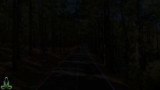 Расслабляющая музыка для сна #3🌿Звуки леса - Щебетание - Успокаивающая музыка снимает стресс смотреть онлайн