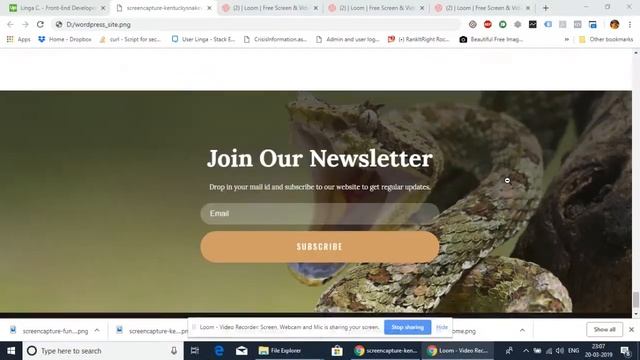 wordpress demo website смотреть онлайн