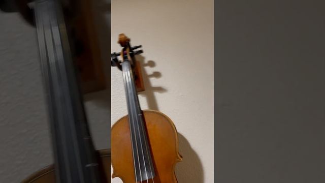 #guitar #violin #mandolin a arsenal of music. #desert #fountainofyouth #making music