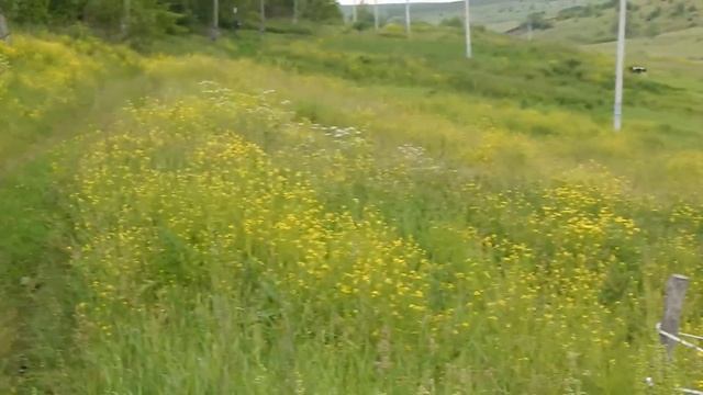 Урок 3 Электропастух для коз дешевле смотреть онлайн