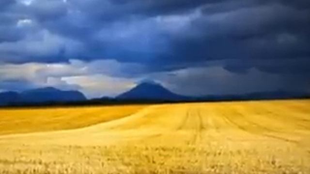 Ф. Тютчев смотреть онлайн