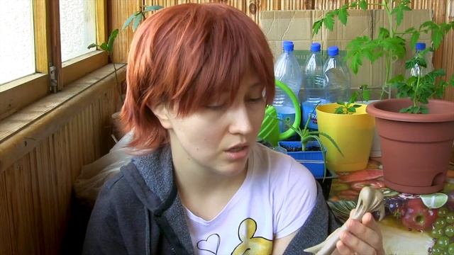 НАЙДИ 10 ОТЛИЧИЙ || Палочка Воландеморта, маски, линзы || Распаковка посылок с Алиэкспресс смотреть онлайн