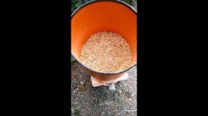 Зернодробилка Вихрь ЗД-350К