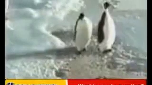y2mate com видео 5 секунда смеха 55 минут 360p 1 смотреть онлайн