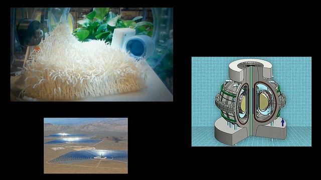 DEEPS/IBES Colloquium – Andrew Revkin: Seeking a Good Path in the Anthropocene смотреть онлайн