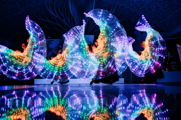 СВЕТОДИОДНОЕ ШОУ ДИВАЙС ВОРОНЕЖ МОСКВА DIVAIS