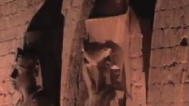 Luxor Temple by night 2007 смотреть онлайн