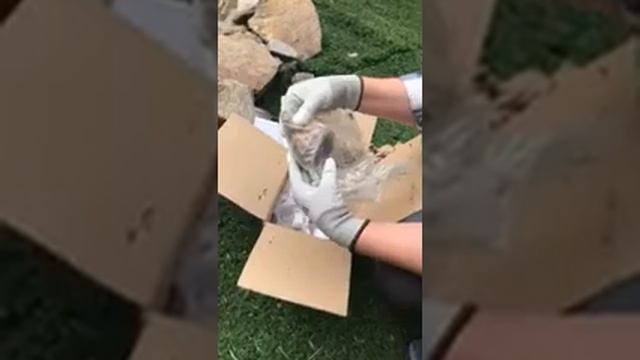 Распаковка посылки Флориум 18.05.20 смотреть онлайн