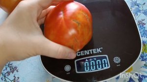 ВАУ! 😍КАКИЕ ШИКАРНЫЕ ТОМАТЫ🍅МИКАДО РОЗОВЫЙ, ЗАГАДКА ПРИРОДЫ И ДР...ДЕГУСТАЦИЯ😋Ростов