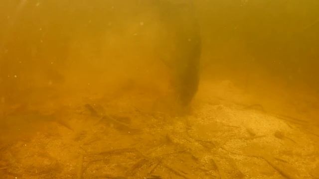 Тест прикормок для рыбалки под водой 2 смотреть онлайн