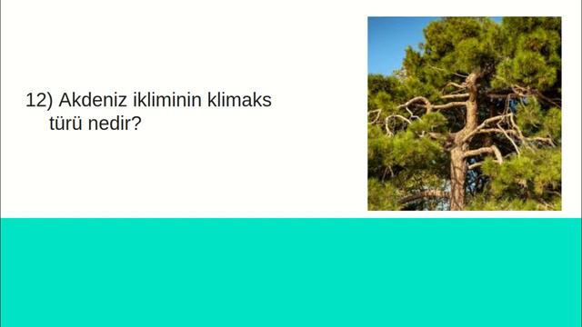#mülakat 20 soruda mülakat soru cevap bölüm 4 смотреть онлайн