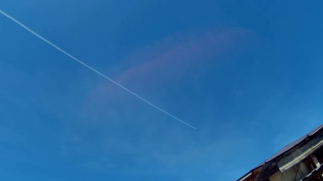 Влог. Глоксиния цветет.Пашем под грядки.Хрен медовый. смотреть онлайн