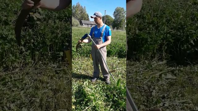 Обзор Косы Falci Drago Nero 70 см ( review scythe Falci Drago Nero 70) часть 3 смотреть онлайн