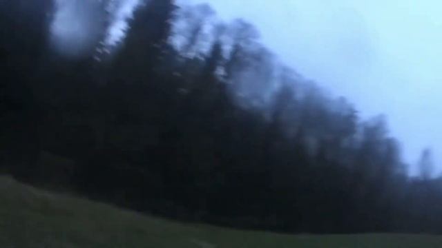 Охота на вальдшнепа#охота на вальдшнепа#охота на кулика#охота на боровую дичь#тяга вальдшнепа# смотреть онлайн