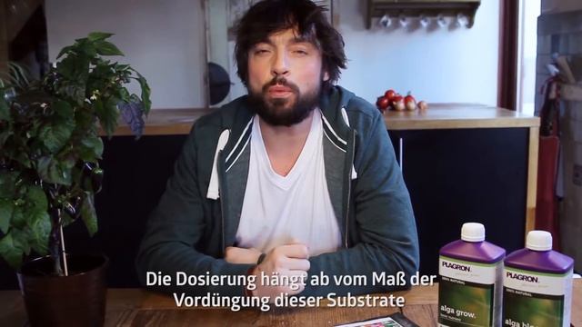 Как применять удобрения Alga Grow And Alga Bloom от Plagron