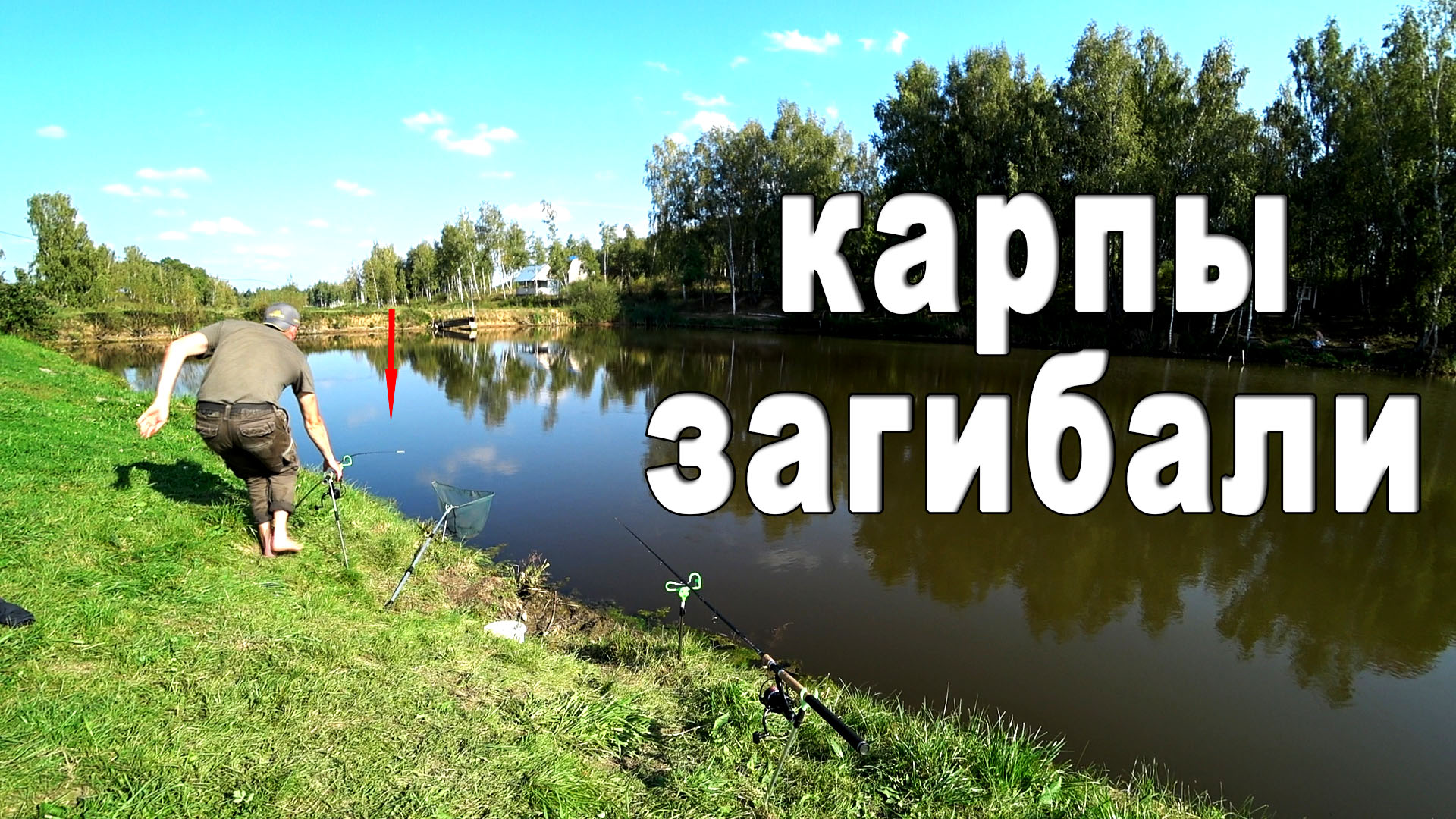 Рыбалка на КАРПА осенью. Сентябрь 2019. Carp Fishing. смотреть онлайн