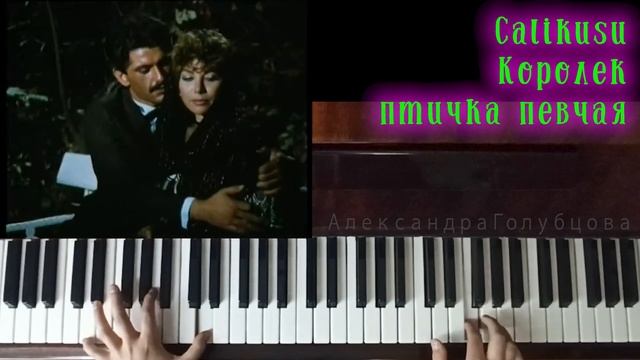 3?Королек птичка певчая ЛЮБИМОЕ 2мя руками Феридэ Фахрие Эвджен Кямран Бурак Озчивит Турция Çalıkuş смотреть онлайн