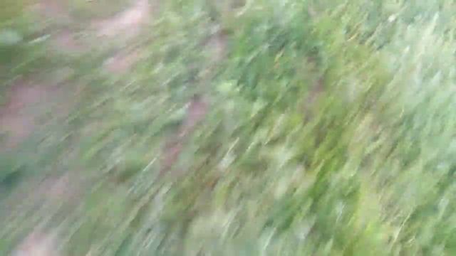 ВЫЗОВ ДУХОВ-СЛАДКОЕЖКА!! ОН ПРИШЕЛ?!! смотреть онлайн